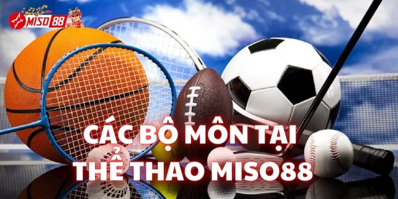 Một số môn cá cược thể thao hấp dẫn tại nhà cái Miso88