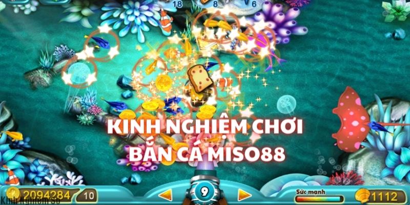 Bật mí kinh nghiệm chơi Bắn cá Miso88 cực hay từ cao thủ