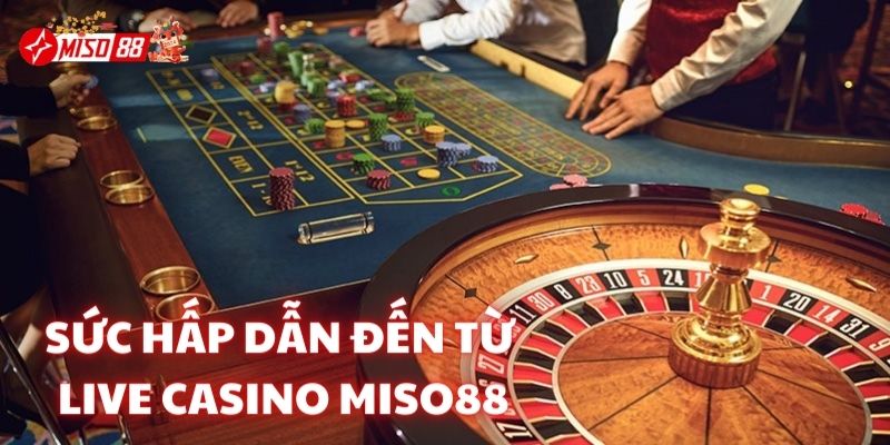 Sức hấp dẫn đến từ Live casino Miso88